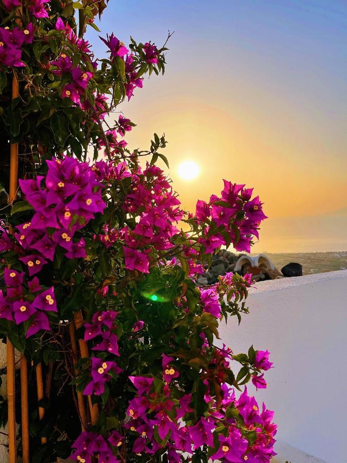 Villa Kastelli88 Santorini Pyrgos Екстериор снимка