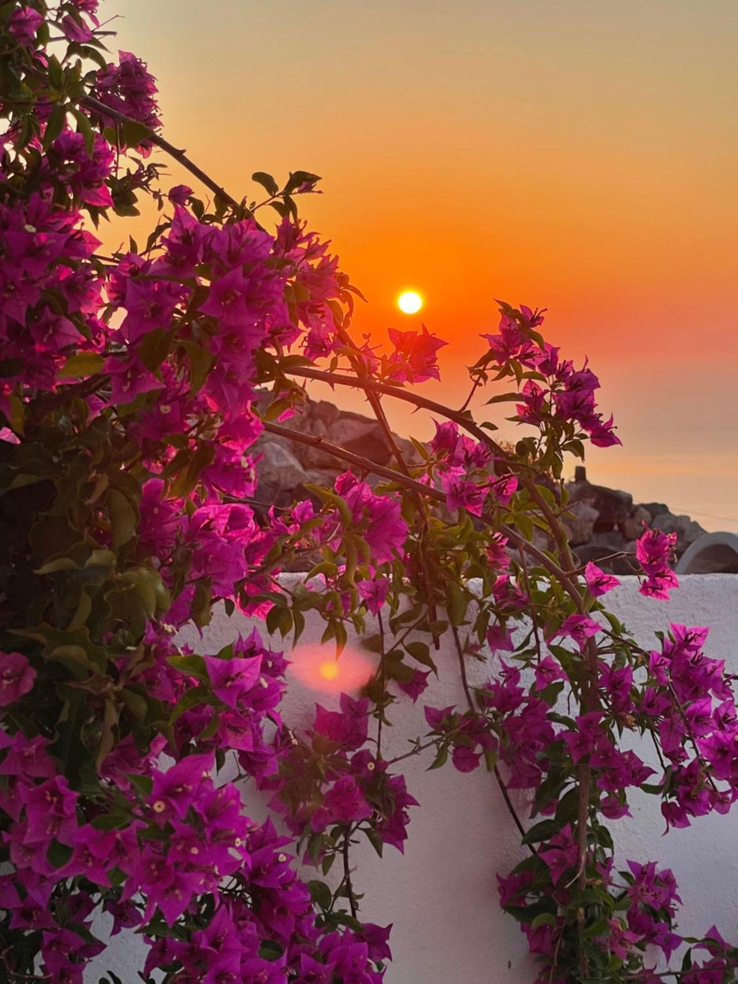 Villa Kastelli88 Santorini Pyrgos Екстериор снимка