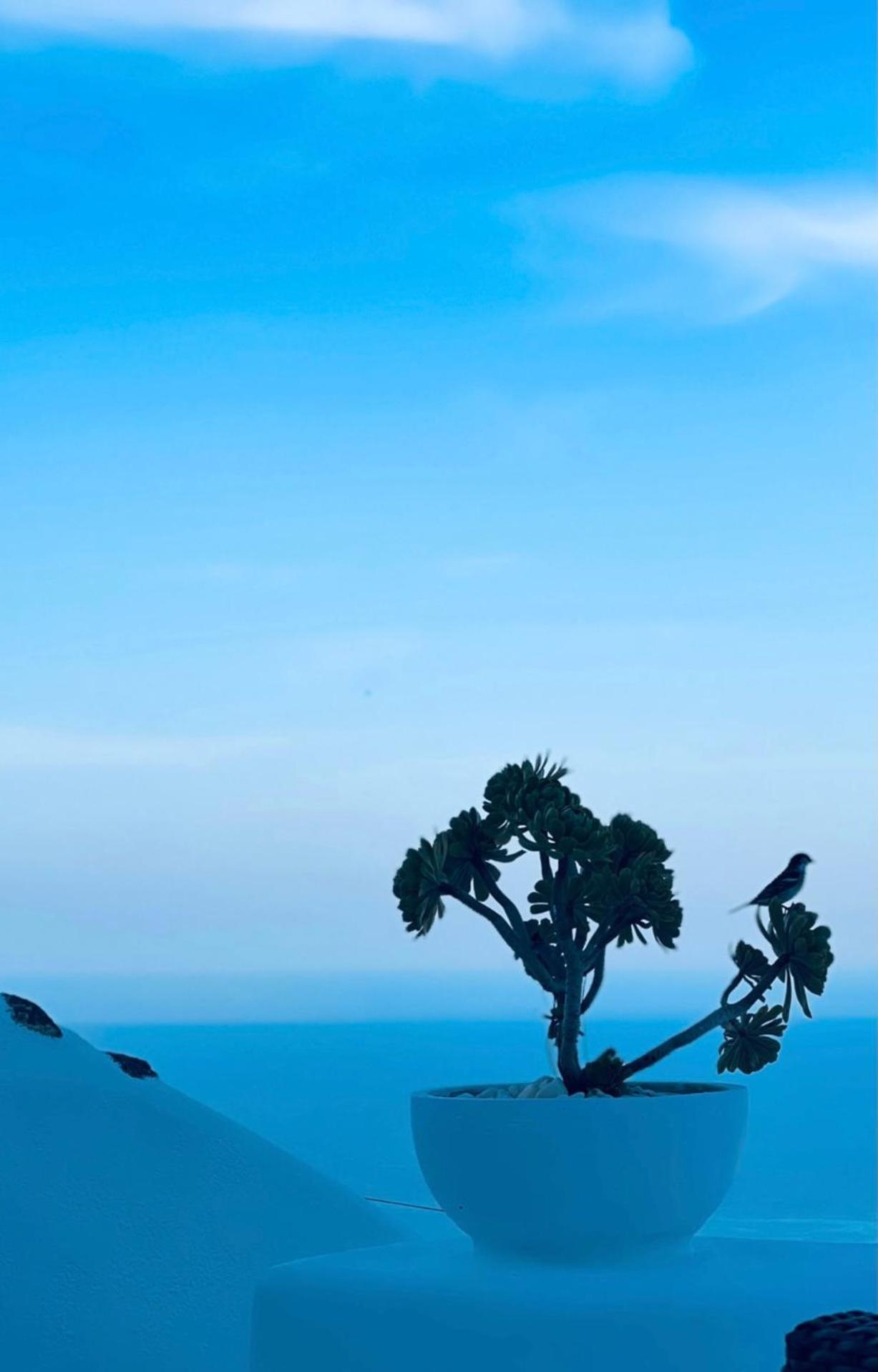 Villa Kastelli88 Santorini Pyrgos Екстериор снимка